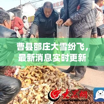 蓬荜生辉
