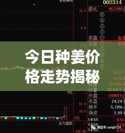 今日种姜价格走势揭秘，最新行情大揭秘！