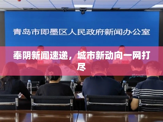 奉阴新闻速递，城市新动向一网打尽