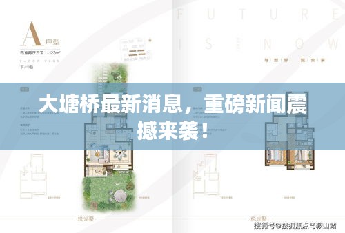 大塘桥最新消息，重磅新闻震撼来袭！