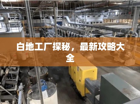 白地工厂探秘，最新攻略大全