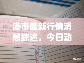 港市最新行情消息综述，今日动态一览无余