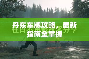 丹东车牌攻略，最新指南全掌握