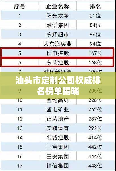 汕头市定制公司权威排名榜单揭晓