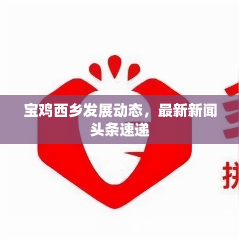 宝鸡西乡发展动态，最新新闻头条速递