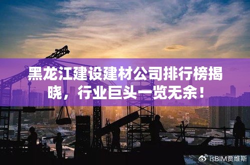 黑龙江建设建材公司排行榜揭晓，行业巨头一览无余！