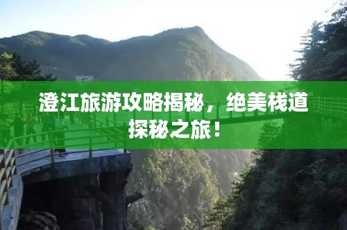 澄江旅游攻略揭秘，绝美栈道探秘之旅！