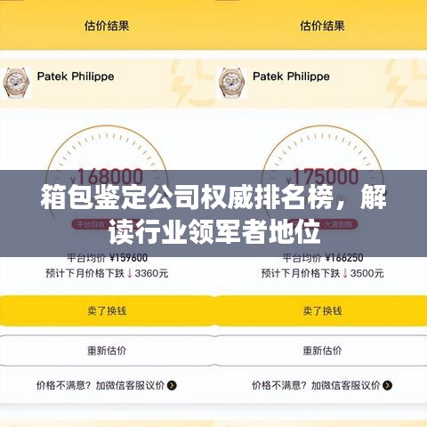 箱包鉴定公司权威排名榜，解读行业领军者地位