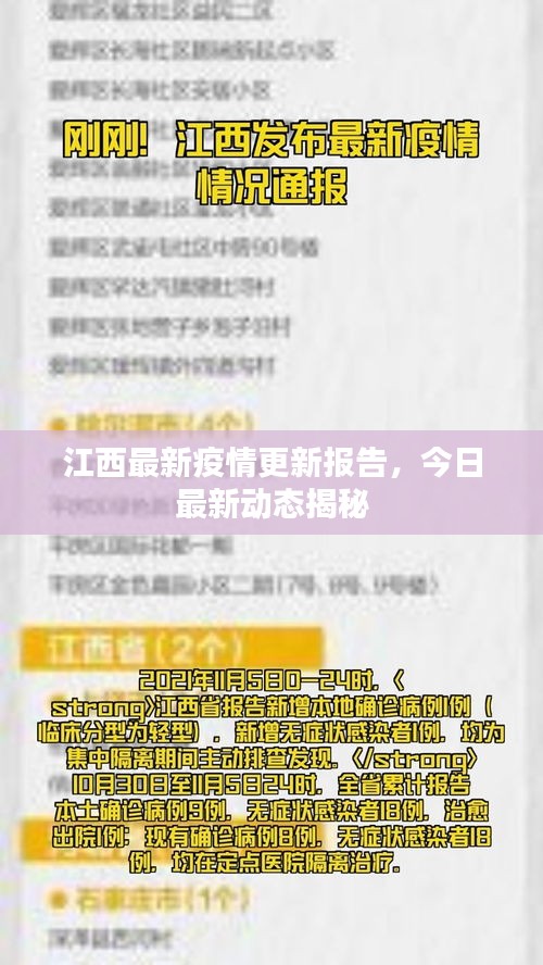 江西最新疫情更新报告，今日最新动态揭秘