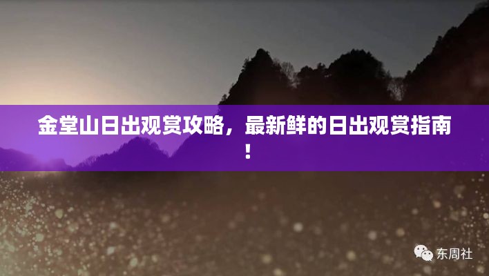 飞箭如蝗