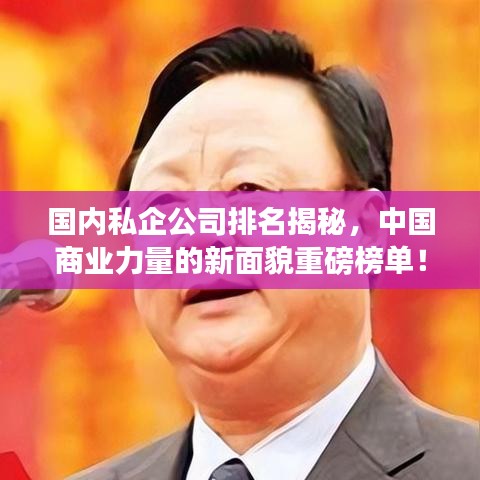 国内私企公司排名揭秘，中国商业力量的新面貌重磅榜单！
