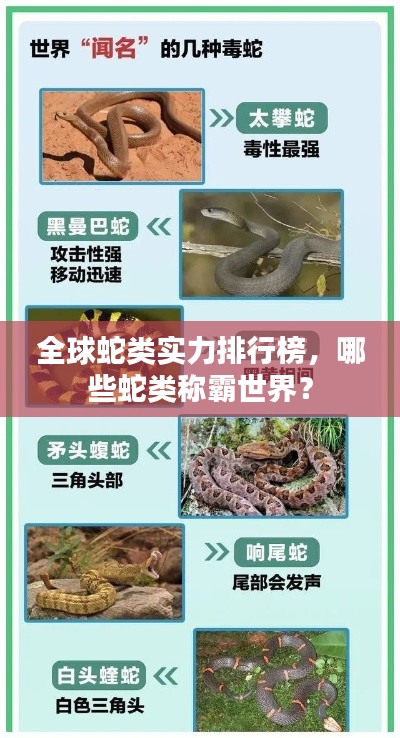 全球蛇类实力排行榜，哪些蛇类称霸世界？