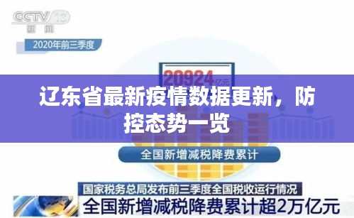辽东省最新疫情数据更新，防控态势一览