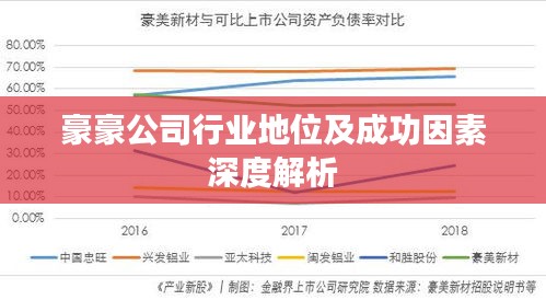 豪豪公司行业地位及成功因素深度解析