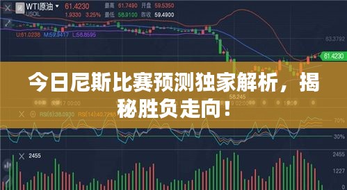今日尼斯比赛预测独家解析，揭秘胜负走向！
