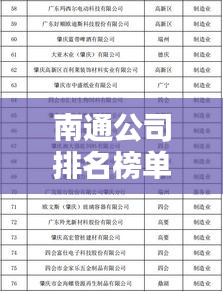 南通公司排名榜单揭晓，谁是领头羊？