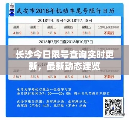 龙飞凤舞