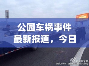 公园车祸事件最新报道，今日热点新闻头条