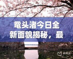 鼋头渚今日全新面貌揭秘，最新状况一览