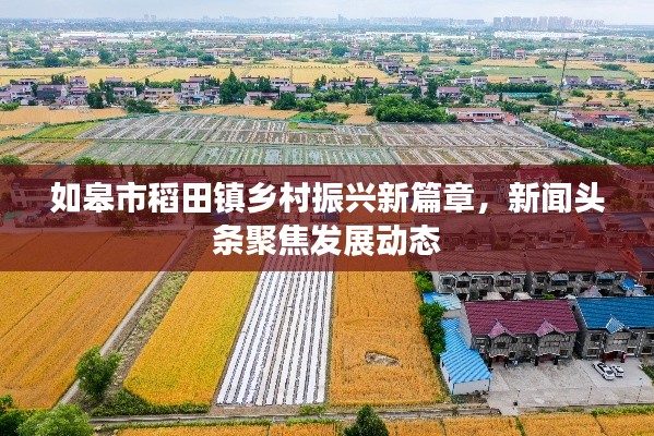 如皋市稻田镇乡村振兴新篇章，新闻头条聚焦发展动态