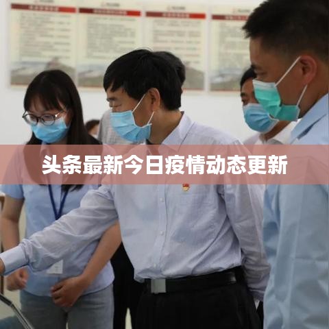 资料大全 第12页