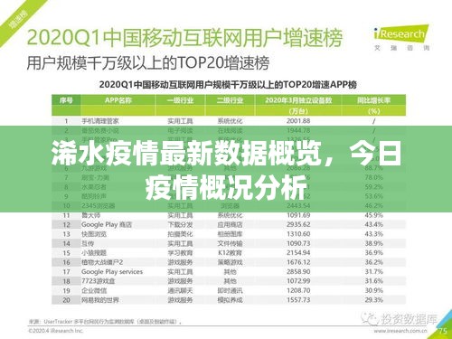 浠水疫情最新数据概览，今日疫情概况分析