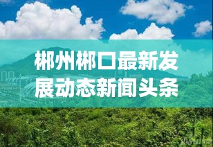 郴州郴口最新发展动态新闻头条揭秘，城市进步瞩目瞩目