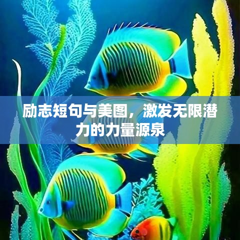 励志短句与美图，激发无限潜力的力量源泉