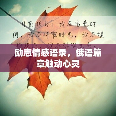 励志情感语录，俄语篇章触动心灵