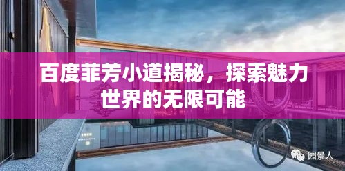 百度菲芳小道揭秘，探索魅力世界的无限可能