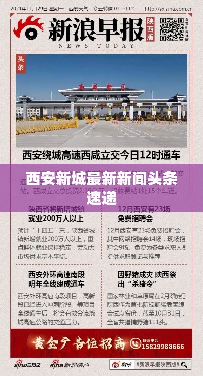 西安新城最新新闻头条速递
