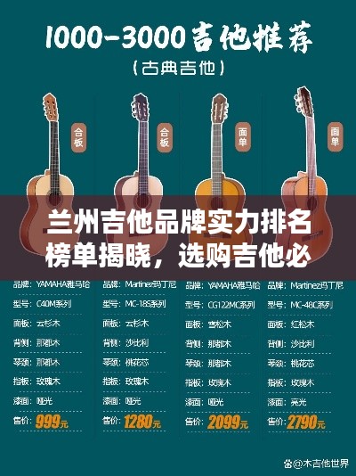 兰州吉他品牌实力排名榜单揭晓，选购吉他必看！
