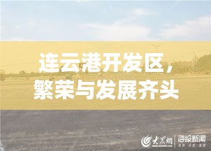 连云港开发区，繁荣与发展齐头并进新闻头条