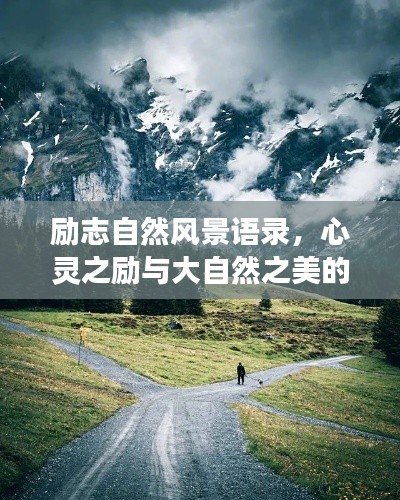 励志自然风景语录，心灵之励与大自然之美的交融境界