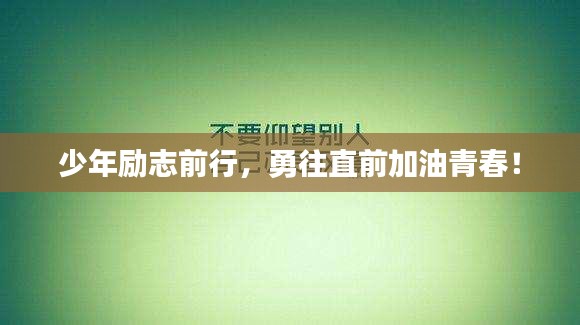 关于我们 第7页