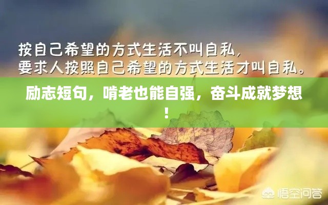 新闻 第8页