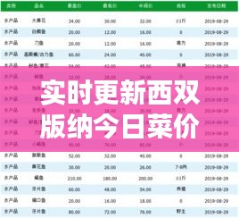 资料大全 第6页